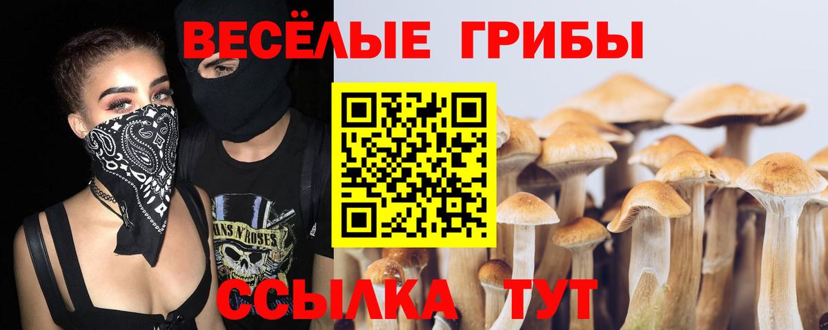 Псилоцибиновые грибы MAGIC MUSHROOMS Улан-Удэ